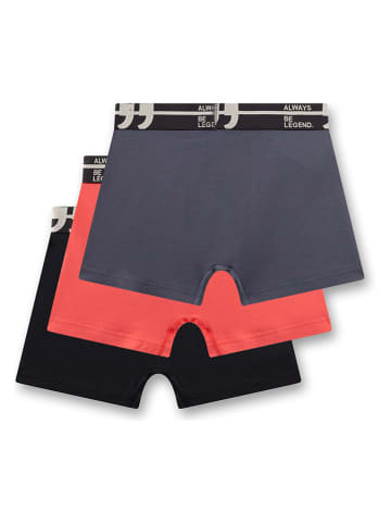 Sanetta 3-delige set: boxershorts oranje/zwart/antraciet