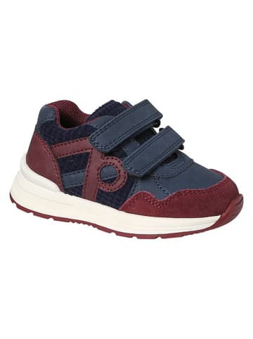 vertbaudet Sneakersy w kolorze granatowo-czerwonym