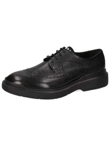 MELVIN & HAMILTON Leder-Schnürschuhe "Denison 1" in Schwarz