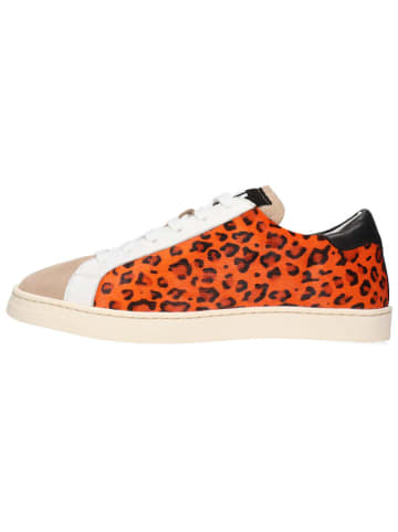 MELVIN & HAMILTON Leren sneakers "Milani 3" meerkleurig