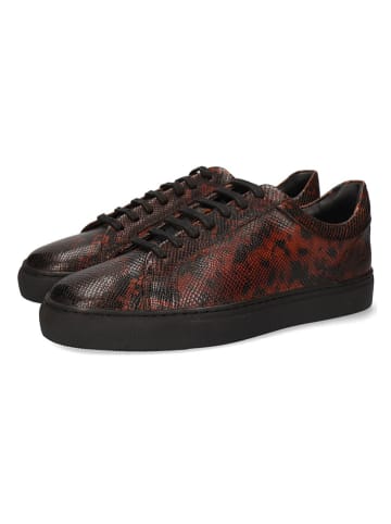 MELVIN & HAMILTON Leren sneakers "Tyler 1" bruin