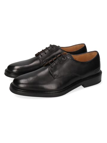 MELVIN & HAMILTON Leder-Schnürschuhe "Winston 1" in Schwarz