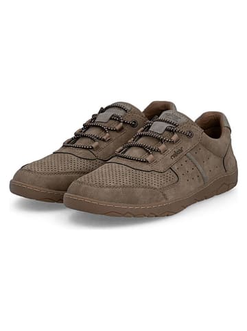 rieker Sneakers taupe
