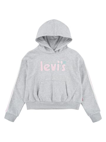 Levi's Kids Hoodie grijs