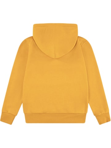 Levi's Kids Hoodie in Gelb