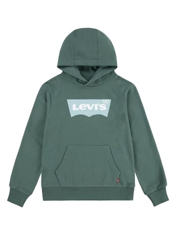 Levi's Kids Hoodie in Grün