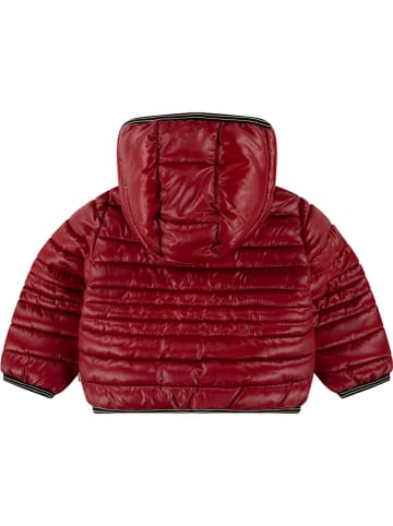 Levi's Kids Kurtka zimowa w kolorze czerwonym