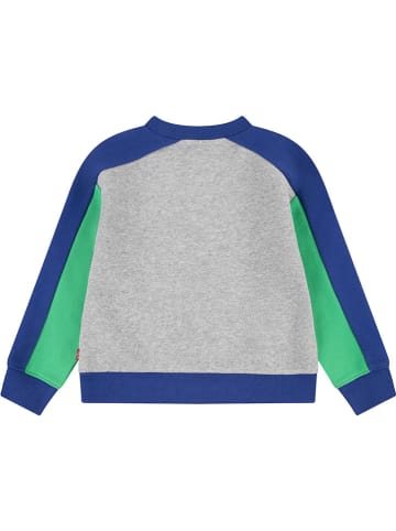 Levi's Kids Sweatshirt in Grau/ Blau/ Grün