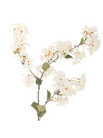 Bloomingville Sztuczna roślina "Myrtle" w kolorze biało-zielonym - wys. 100 cm