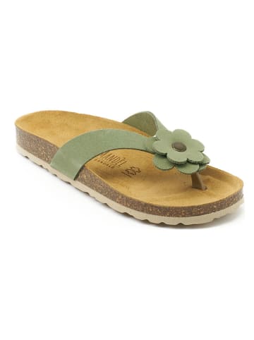 Mandel Leren teenslippers "Lene" groen