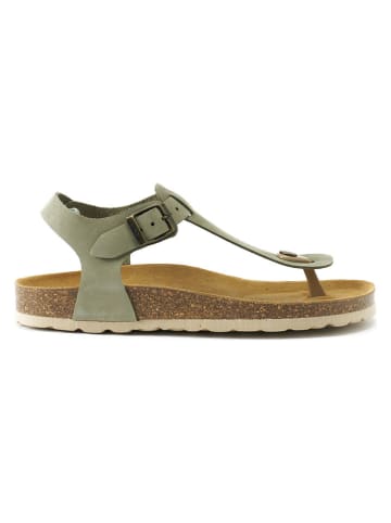 Mandel Leder-Zehensandalen "Leon" in Khaki