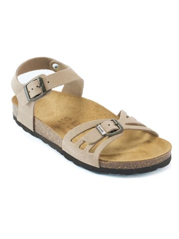 Mandel Leder-Sandalen in Taupe