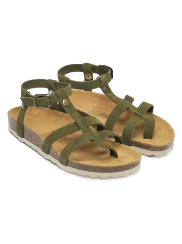 Mandel Leder-Zehensandalen in Khaki
