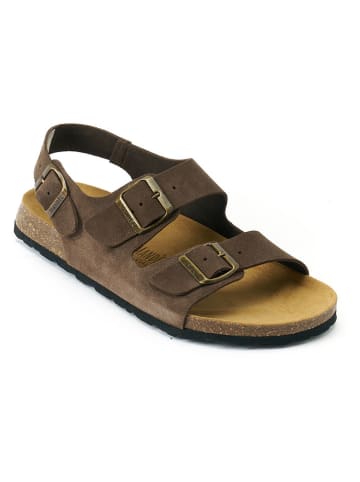 Mandel Leder-Sandalen "Carlos" in Braun