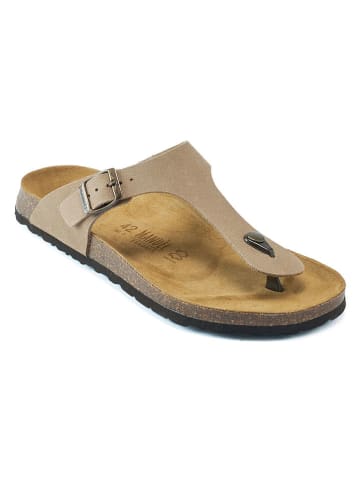 Mandel Leren teenslippers taupe