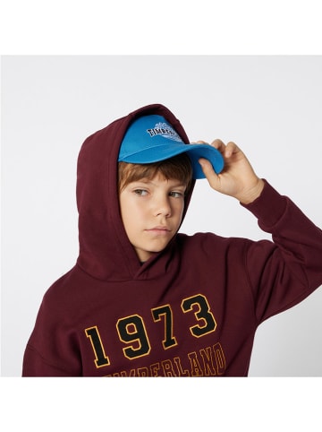 Timberland Hoodie rood