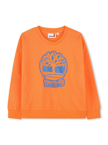 Timberland Sweatshirt oranje