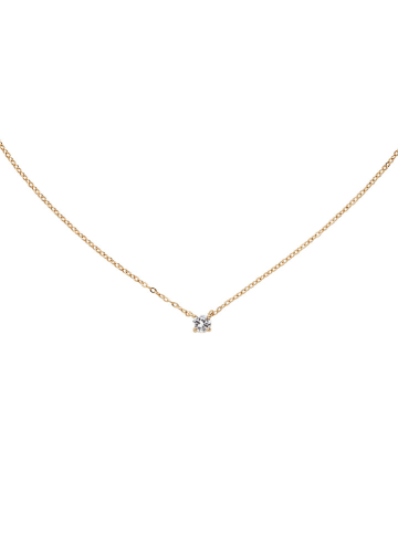 U.S. Polo Assn. Vergulde ketting met sierelement - (L)41,5 cm