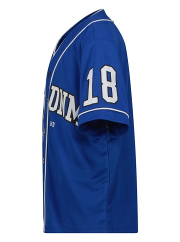 RAIZZED® Blouse "Hace" blauw