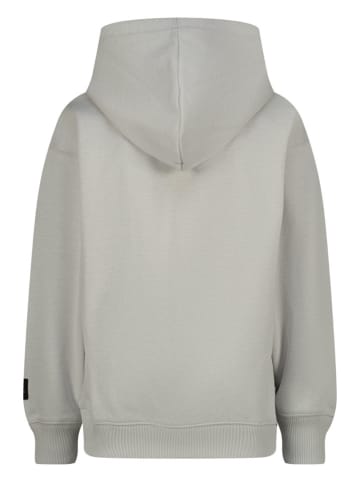 RAIZZED® Hoodie "Naizy" grijs