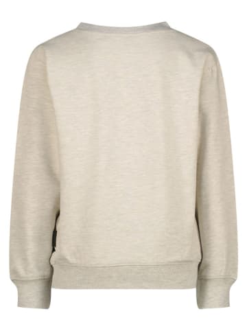 RAIZZED® Sweatshirt "Nofficial" beige