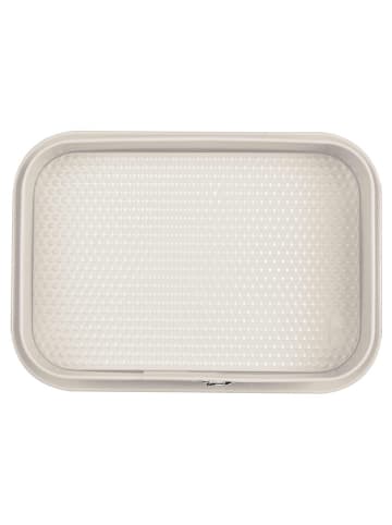 Berlinger Haus Springform in Creme - (B)39 x (H)7,5 x (T)27 cm