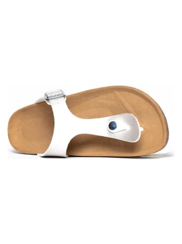 BACKSUN Teenslippers "Alghero" zilverkleurig