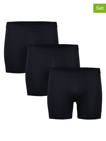 Norfolk 3er-Set: Boxershorts "Austin" in Schwarz