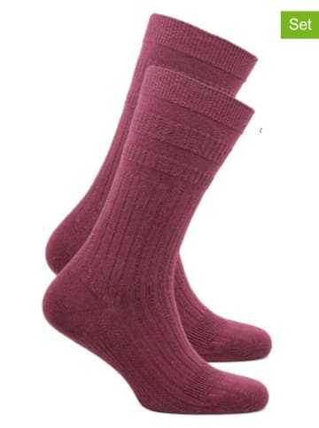 Norfolk 2er-Set: Trekkingsocken "Joseph" in Bordeaux