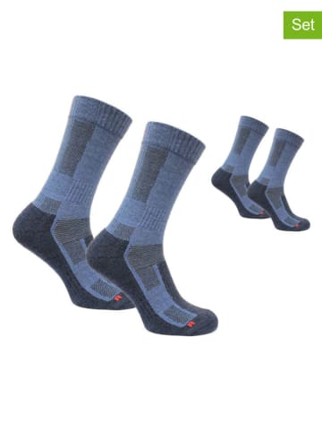 Norfolk 2er-Set: Trekkingsocken "Leonardo" in Dunkelblau