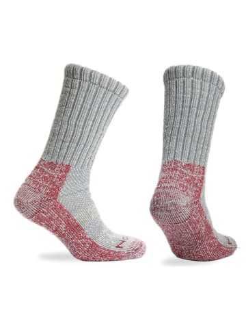 Norfolk Skarpety trekkingowe "Nasug" w kolorze jasnoszaro-czerwonym