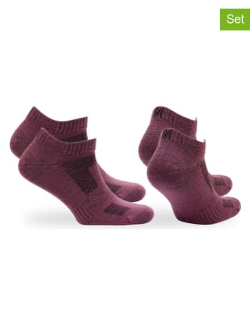 Norfolk 2er-Set: Trekkingsocken "Sheldon" in Bordeaux