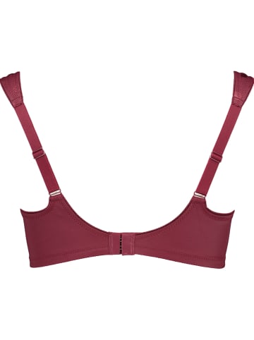 SUSA Softbeha bordeaux