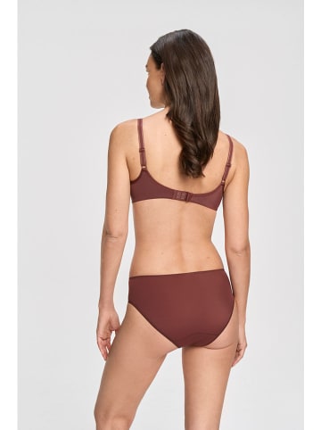 SUSA Slip bruin