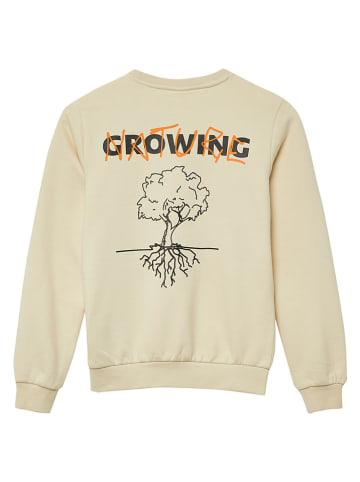 s.Oliver Sweatshirt in Beige