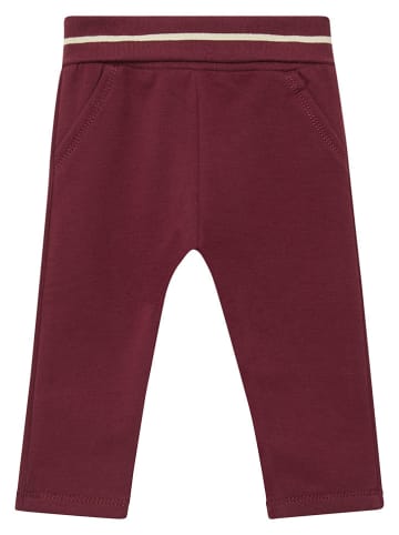 s.Oliver Sweathose in Bordeaux