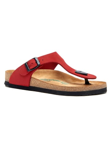 Comfortfusse Leren teenslippers rood