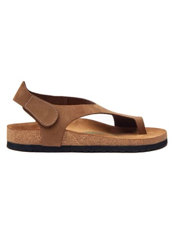 Comfortfusse Leder-Zehensandalen in Sand