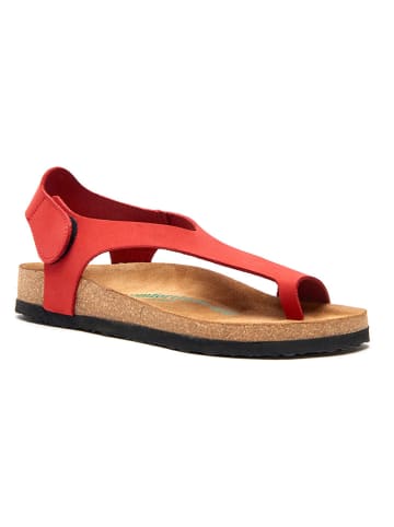 Comfortfusse Leren teensandalen rood