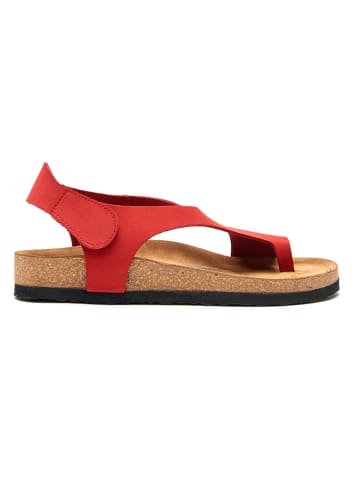 Comfortfusse Leder-Zehensandalen in Rot
