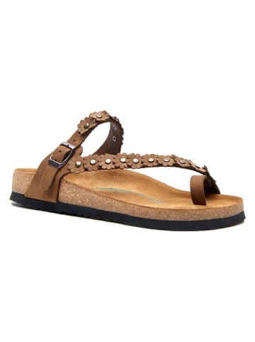 Comfortfusse Leder-Zehentrenner in Hellbraun