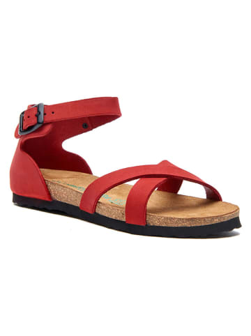 Comfortfusse Leder-Sandalen in Rot