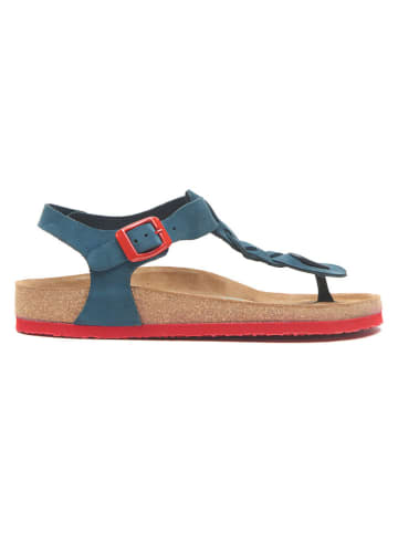 Comfortfusse Leren teensandalen blauw/rood