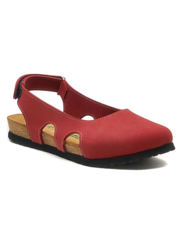 Comfortfusse Leder-Ballerinas in Rot