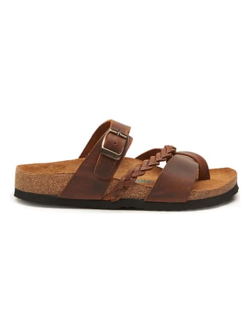 Comfortfusse Leder-Zehentrenner in Braun