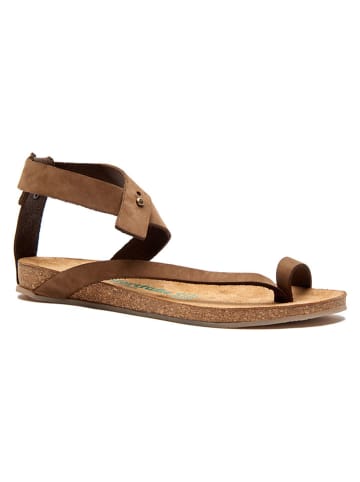 Comfortfusse Leder-Zehensandalen in Sand