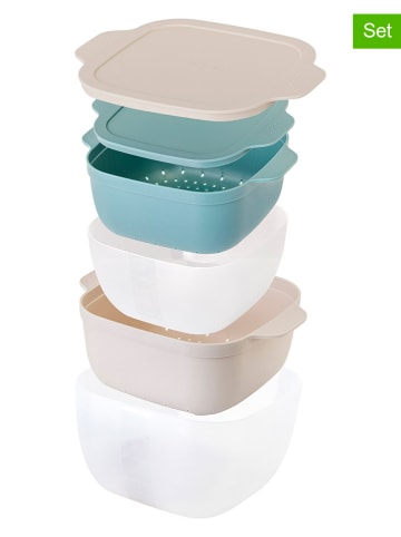 Vigar 2er-Set: Frischhaltedosen in Beige/ Blau