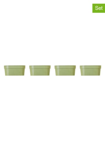 Vigar 4er-Set: Blumentöpfe "Urban garden" in Grün - (B)17 x (H)8,5 x (T)8 cm