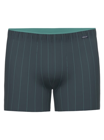 Ammann Boxershorts in Dunkelblau