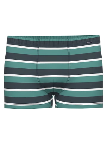 Ammann Bokserki w kolorze granatowo-morskim